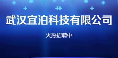 武汉最新招聘信息详解与招聘动态速递