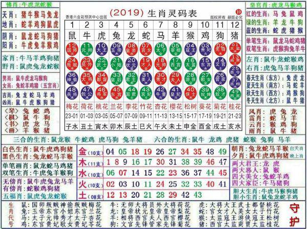 澳门正版资料大全资料生肖卡，实地数据验证战略