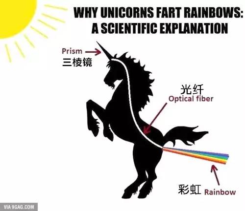 新澳门今晚开奖效果号码是几多，科学剖析诠释界说