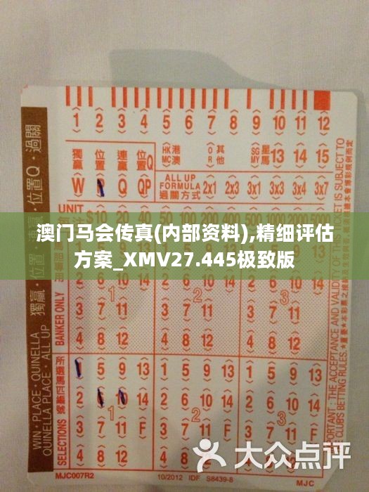 马会传真，准确资料解释落实，工具版10.872