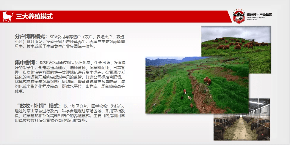 羊秀村最新招聘信息周全剖析