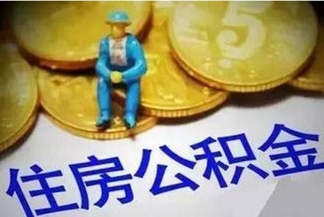 社保最新比例详解，深入了解与探讨