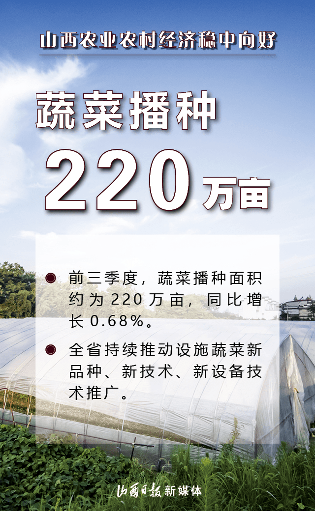 管家婆2024一句话中特,周全数据应用实验