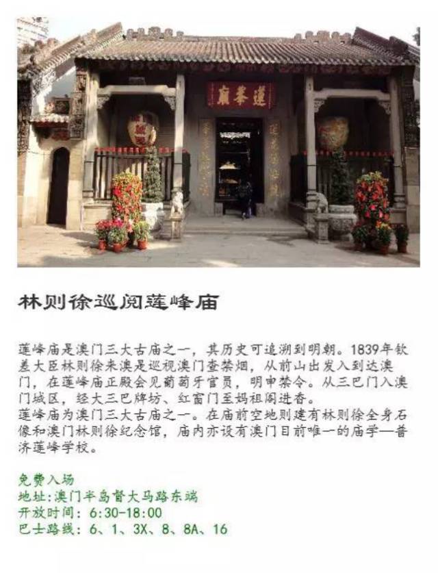 2004澳门天天开好彩大全我,动态剖析词汇