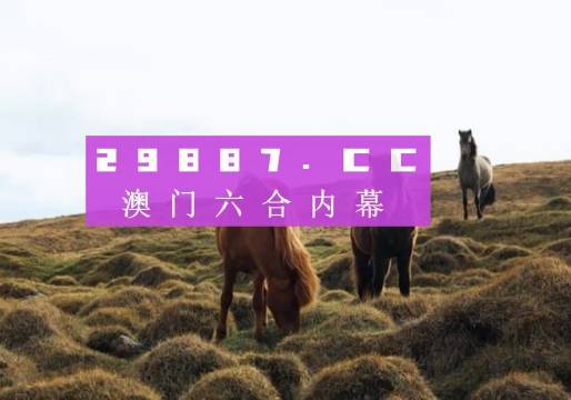 2024澳门特马今晚开奖亿彩网——实证解读说明_KP34.437