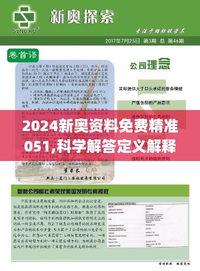 2024新奥正版资料免费,综合解答解释定义