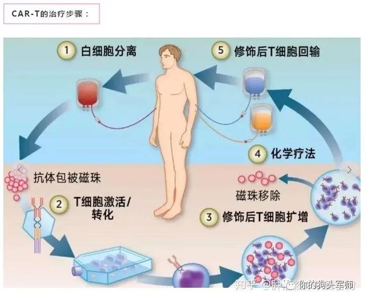 最新癌症治疗突破，希望之光照亮治疗之路