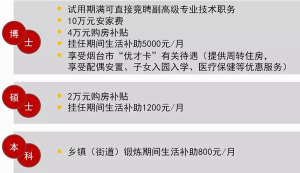 最准一肖一码100%的应用先容,整体妄想执行解说_基础版14.543