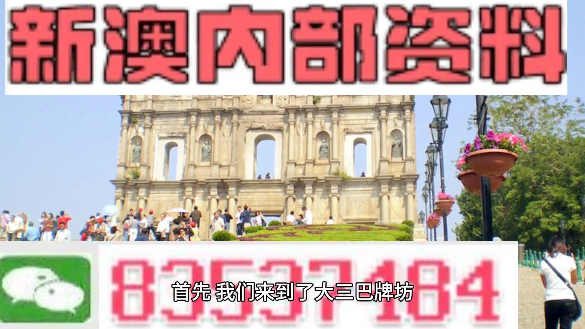 新澳2024正版免费资料,立异执行妄想