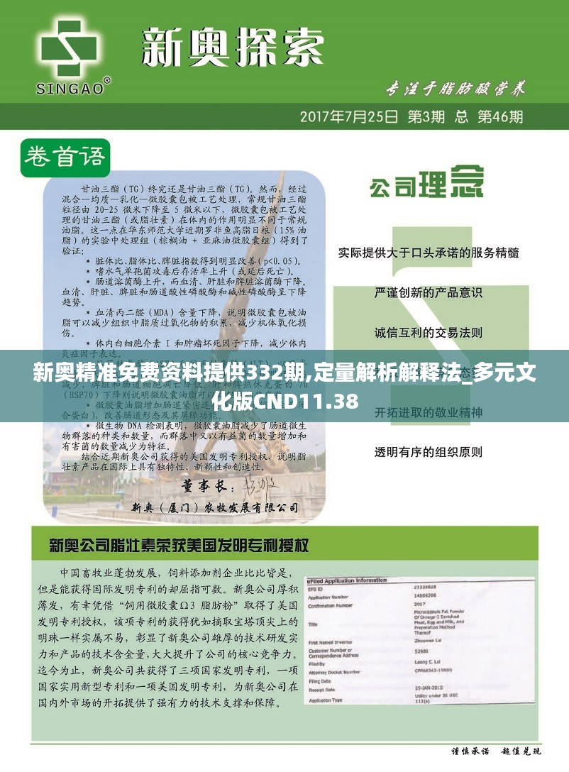 2025年新奥正版免费,定性剖析诠释界说