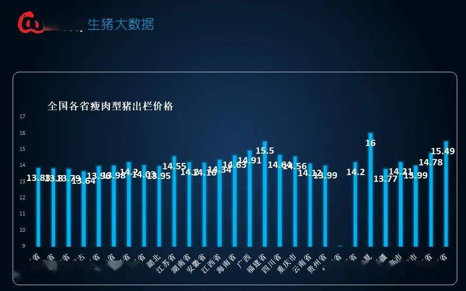 最新生猪行情剖析与趋势展望