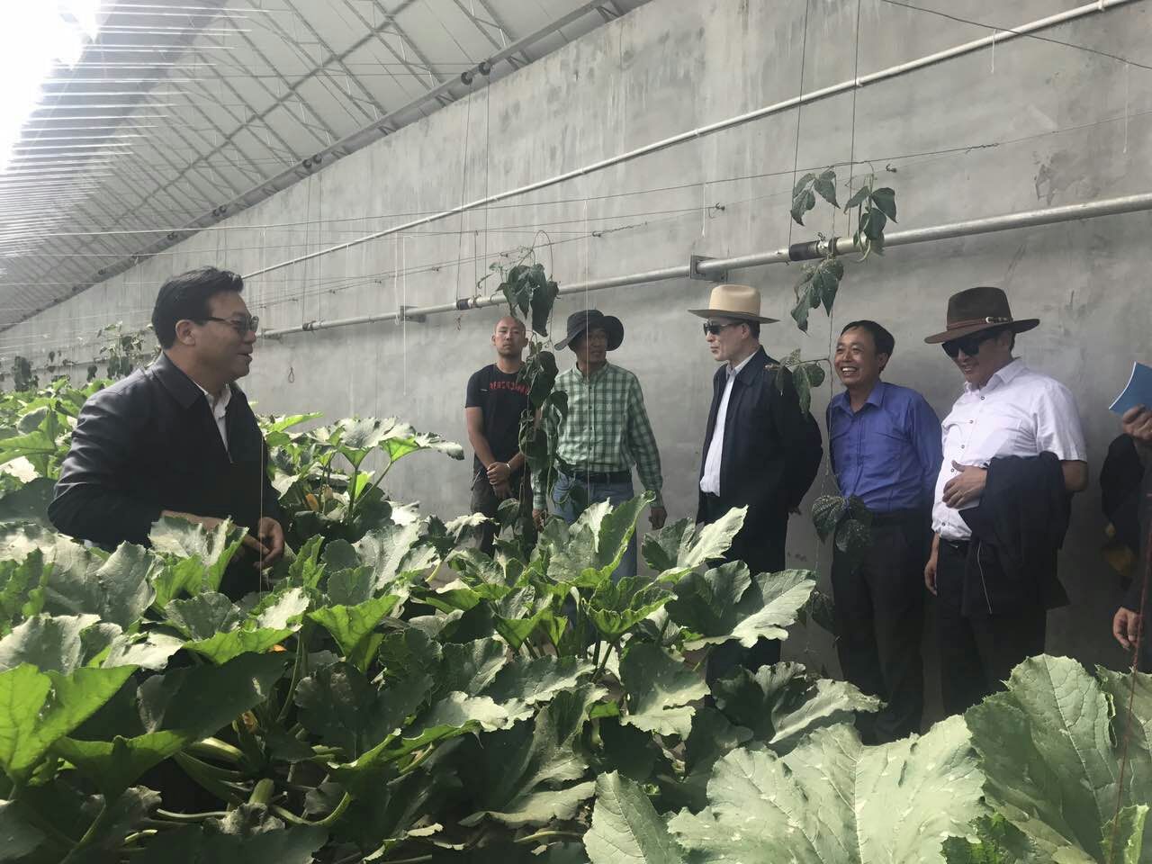 海南藏族自治州粮食局最新项目及其地区影响剖析