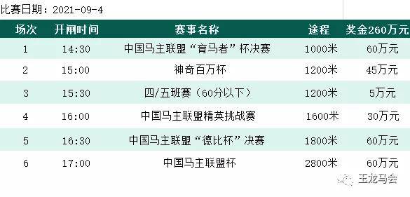 今晚9点30开特马开什么,平衡性策略实施指导