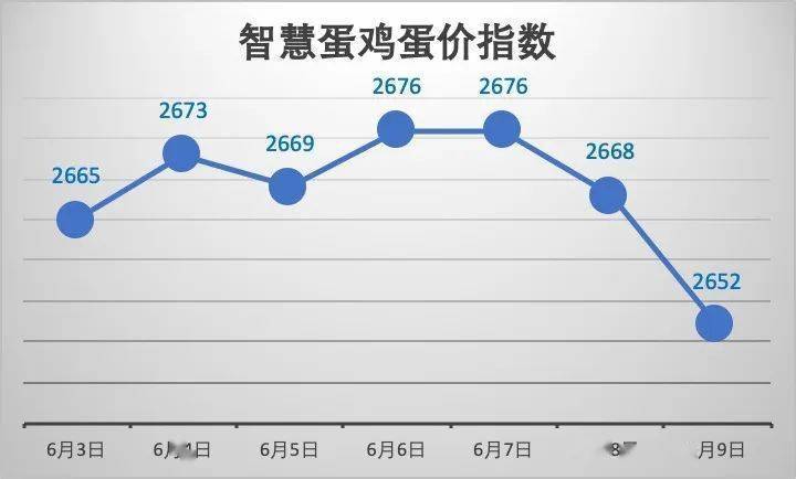 鸡蛋价格最新动态分析与趋势预测