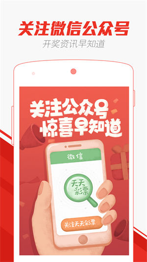 2024澳门天天开好彩大全app,安全设计策略解析