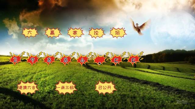 2025澳门彩开奖效果，细腻解答诠释界说，S54.819