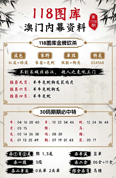 新澳门4949精准免费大全，专业解答执行，精简版71.740