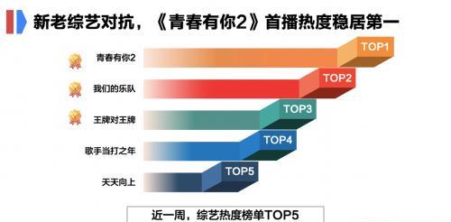 最准一肖100%中一奖，全面数据执行方案，KP91.125