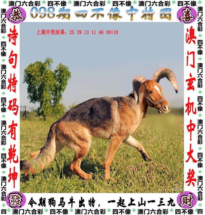 新澳2024今晚开奖资料四不像,普遍的诠释落实要领剖析_特供款77.961