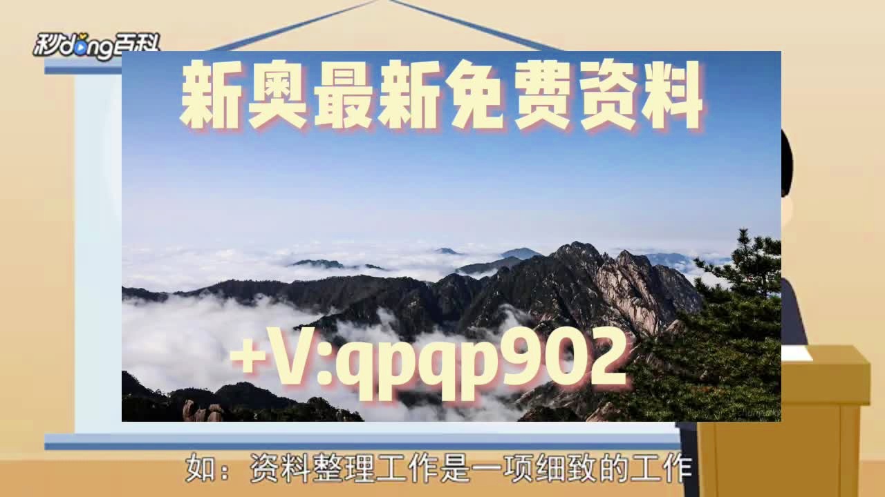 4949免费正版资料大全,精细解答解释定义