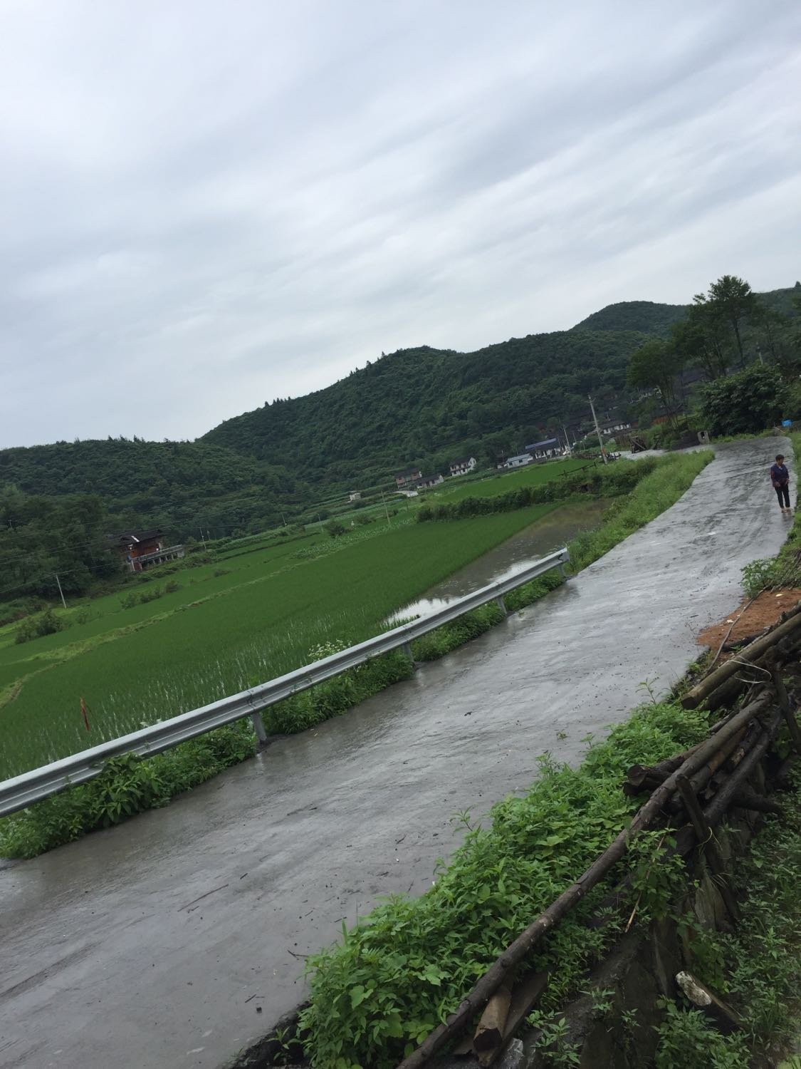 蚂蝗村委会最新天气预告