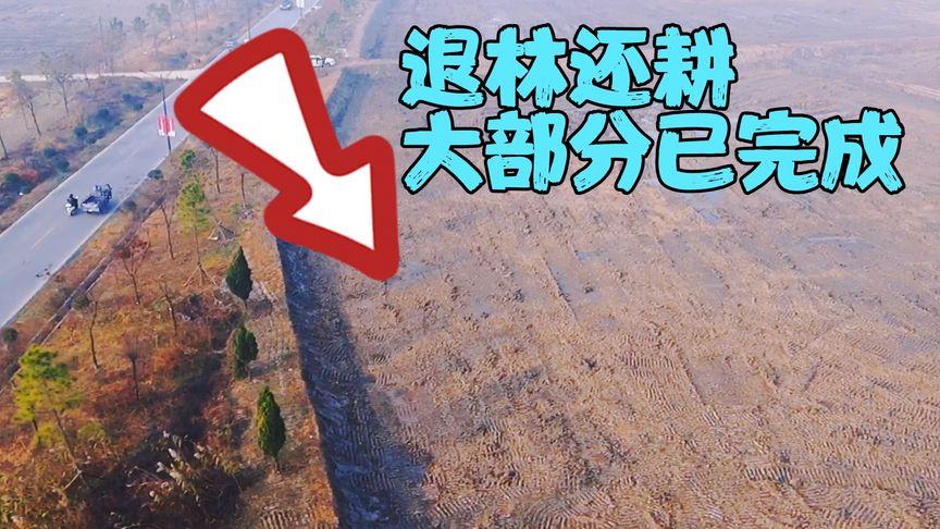 超生最新政策调解，重塑生齿政接应对新时代挑战